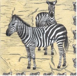 Glückwunschkarte Zebra